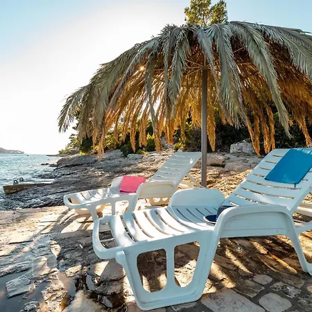 Sokolic Bb Vi * 벨라루카