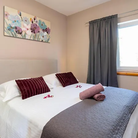 Sokolic Bb Vi * 벨라루카