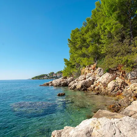 Sokolic Bb Vi بيت للعطل *