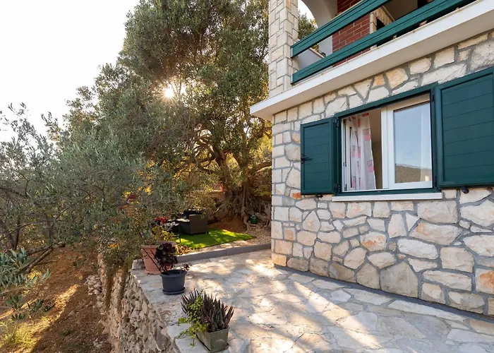 Sokolic Bb Vi Vela Luka